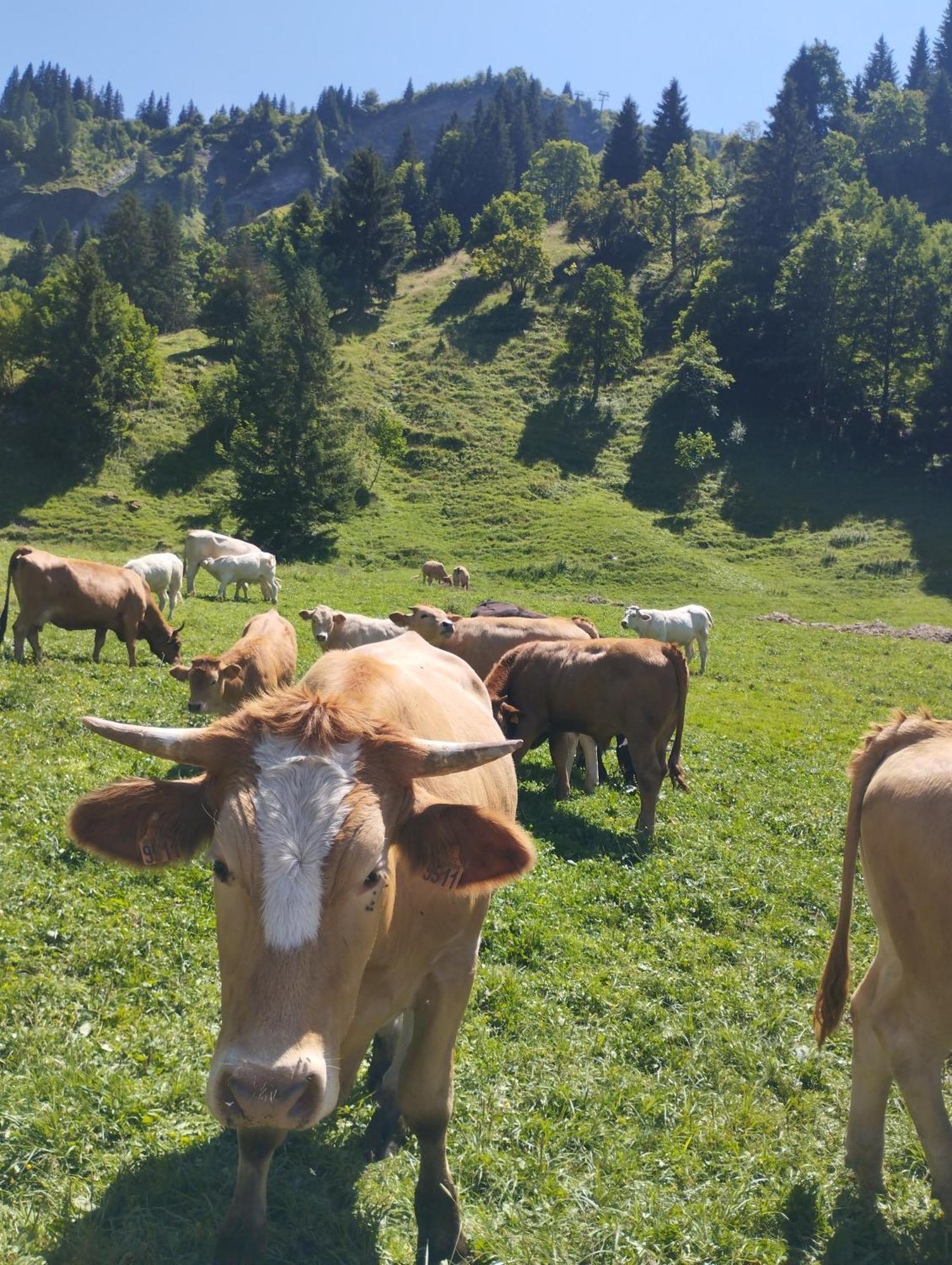 Le Gite Du Val Flumet Zewnętrze zdjęcie